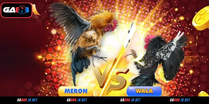 Các hình thức đá gà CPC1 phổ biến tại GA888