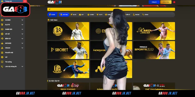 Thể thao – Điểm hẹn rực lửa của những chiến lược gia tài ba